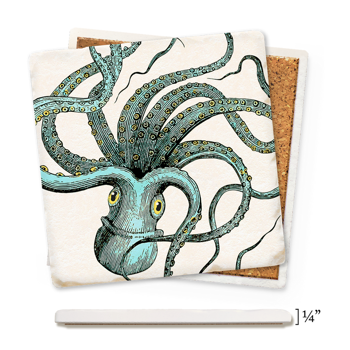 Economy Coaster - Octopus