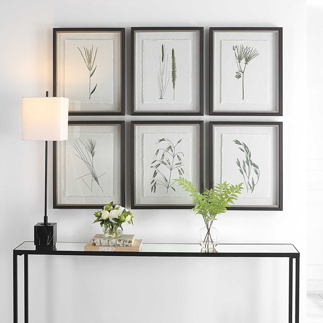 Forest - Finds Framed Prints (Set of 6)