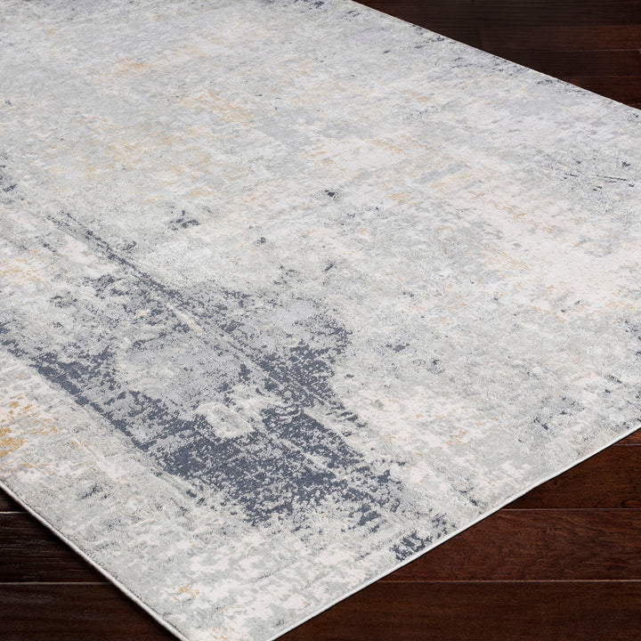 Paoli - Abstract 5 X 7.5 Rug - Gray