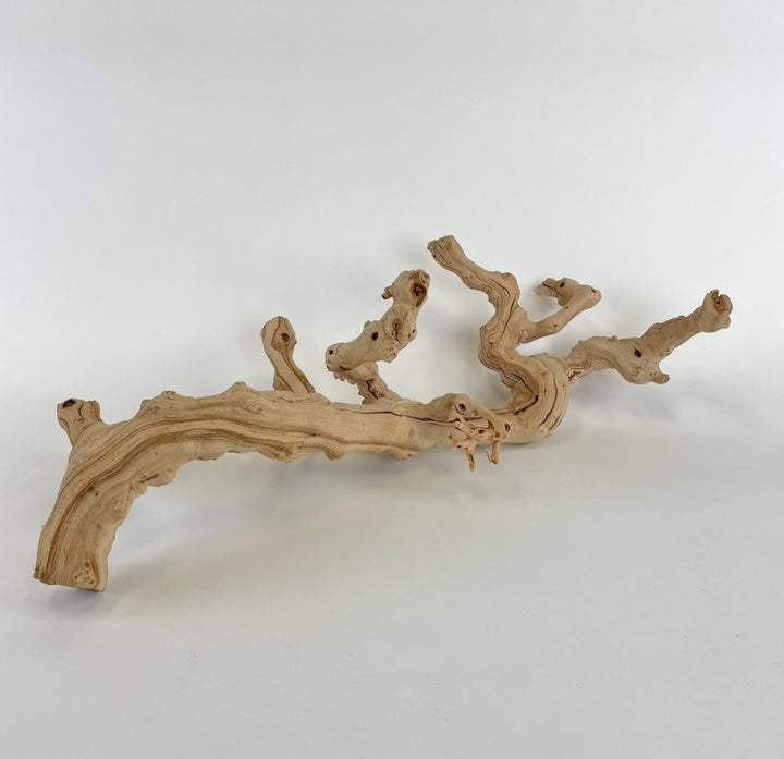 22" Sandblasted Grapewood