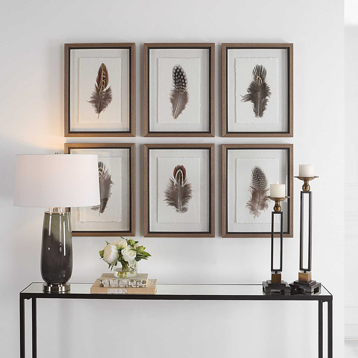 Birds Of A Feather - Framed Prints (Set of 6)