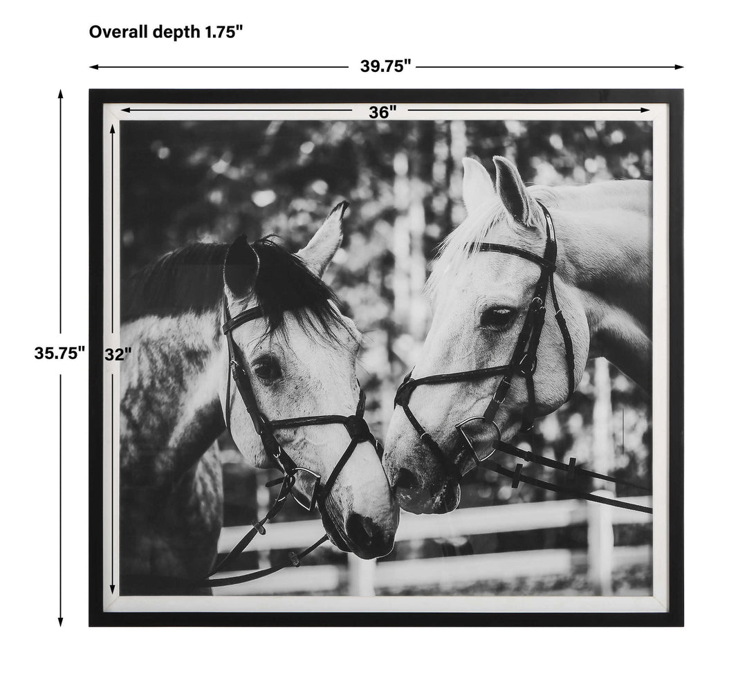 Apple Of My Eye - Framed Print - Black