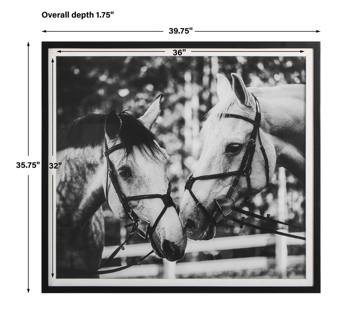 Apple Of My Eye - Framed Print - Black