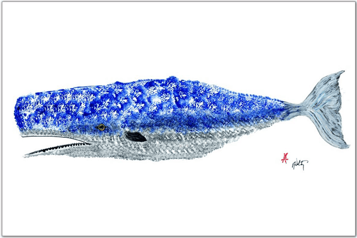FishAye Whale Placemat – Coastal Nautical Table Decor: Set of 12