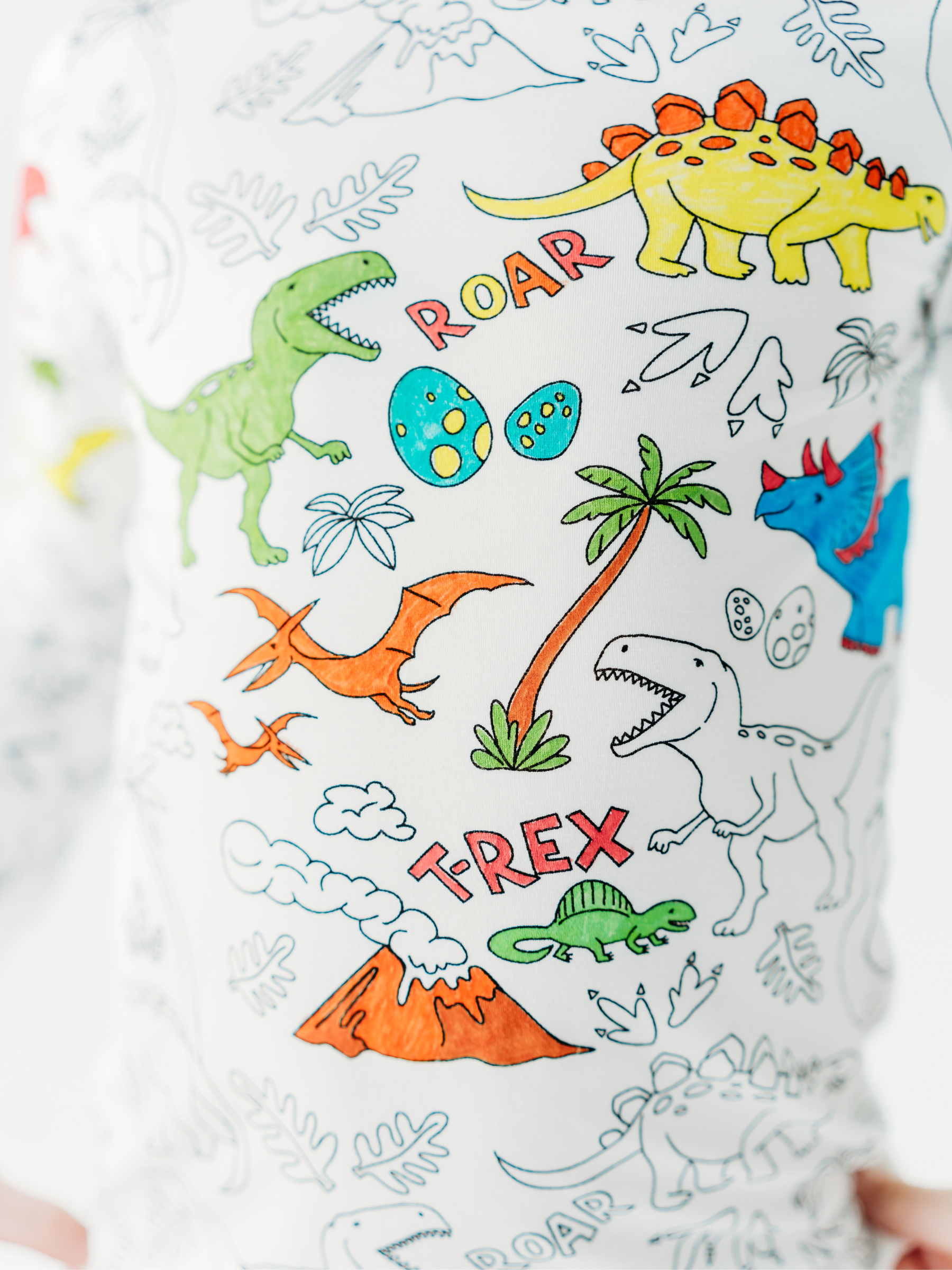Dinosaur Coloring Pajamas 2 piece set made from Bamboo: 4T