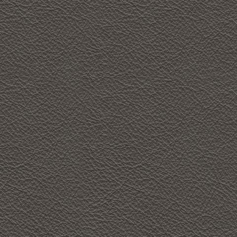 Dearview - Power Recliner/ Adj Headrest - Fog