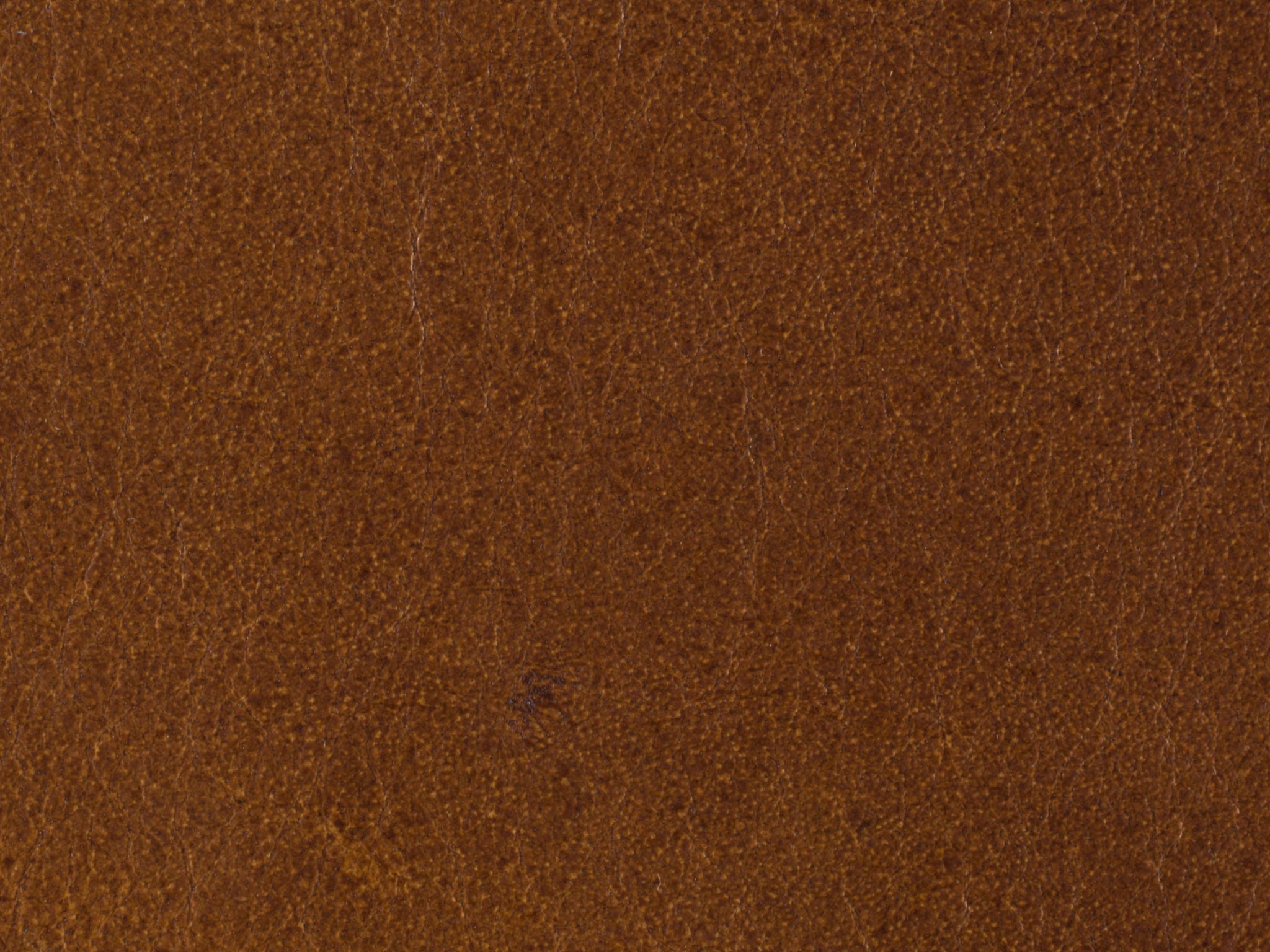 CC - Hamrick Club Chair - Light Brown