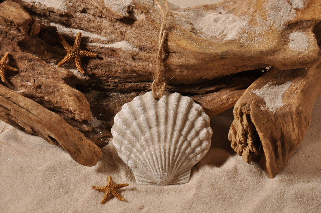 Scallop Shell Sand Ornament: Ribbon and Glitter