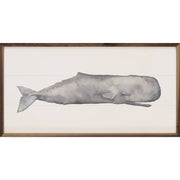 Watercolor Sperm Whale Painting By Emily Wood