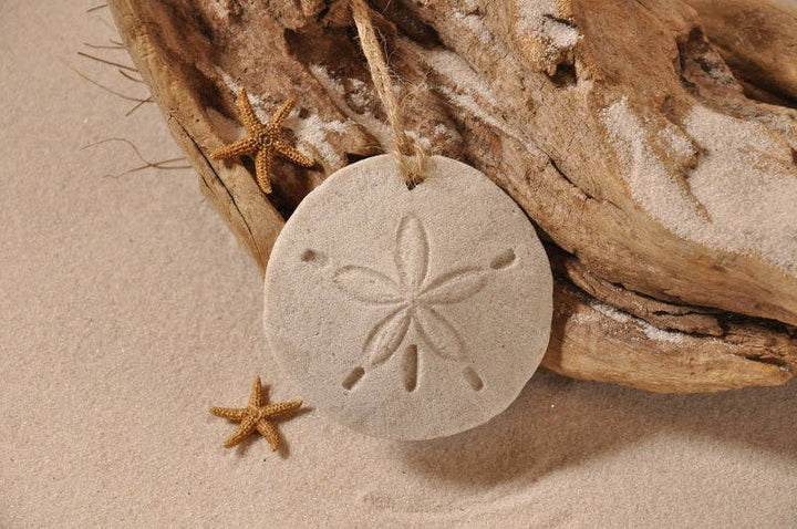 Sand Dollar Sand Ornament: Ribbon and Glitter