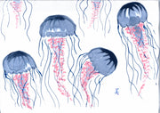 FishAye Jellyfish Placemat – Coastal & Nautical Table Decor: Set of 8