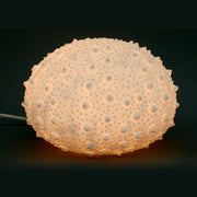 Sandstone Urchin Lamp Indoor: Small