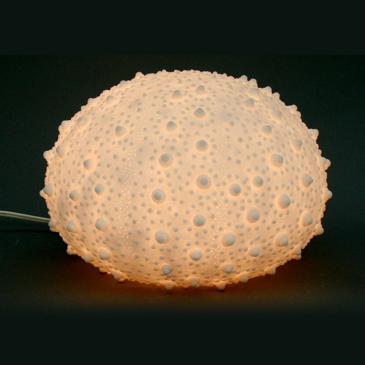 Sandstone Urchin Lamp Indoor: Large