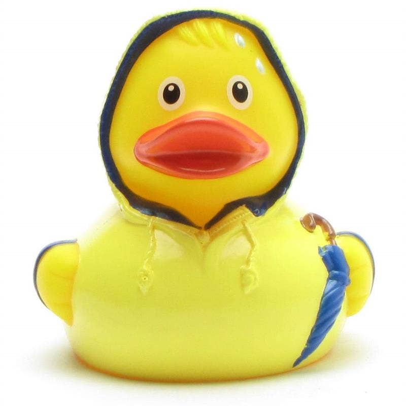 Rubber duck bad weather - rubber duck