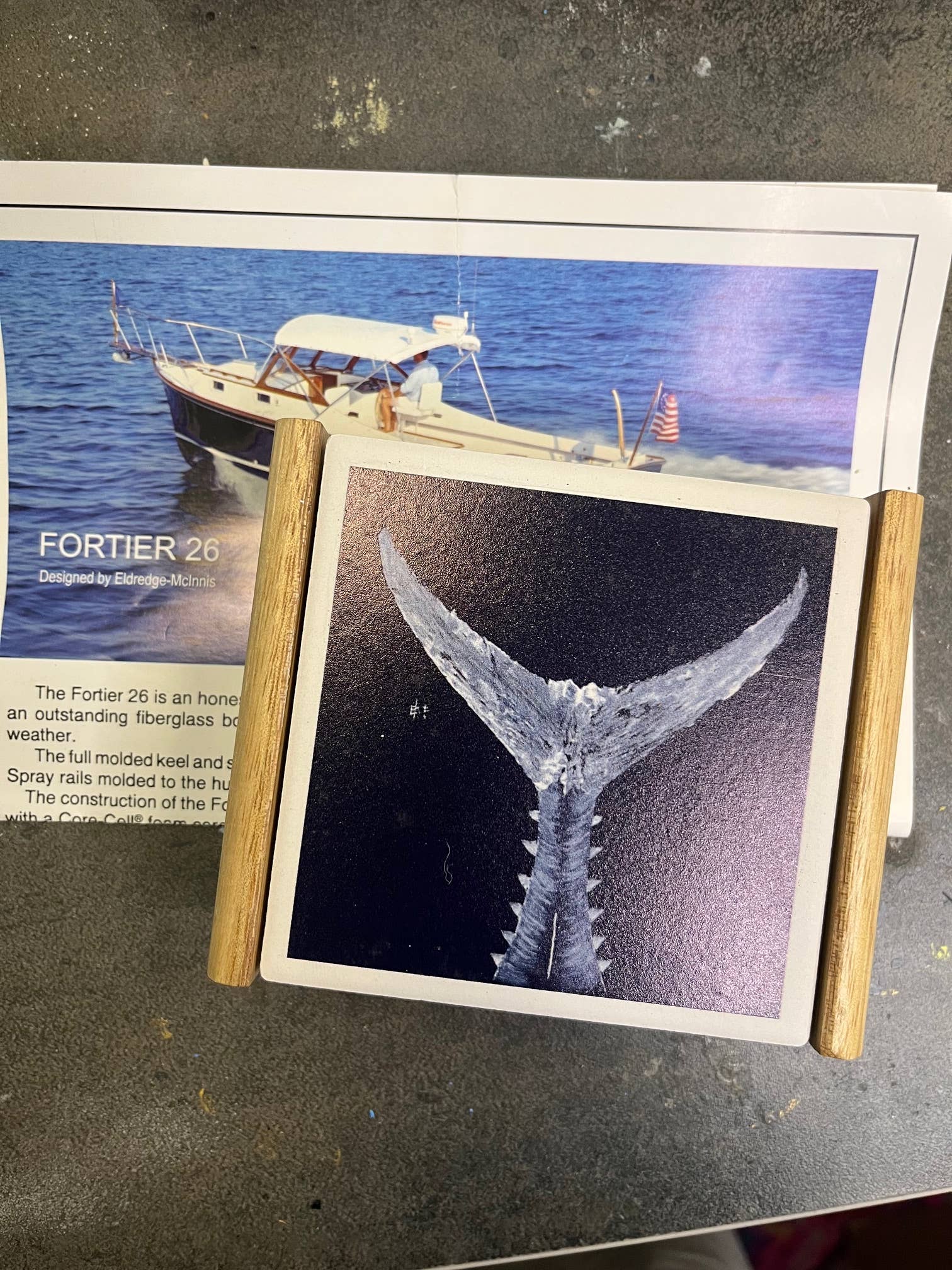FishAye Navy Coaster – White Tuna Tail Ocean Design: Coasters w/ the wood caddy holder