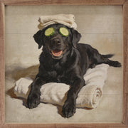 Bath Time Black Labrador