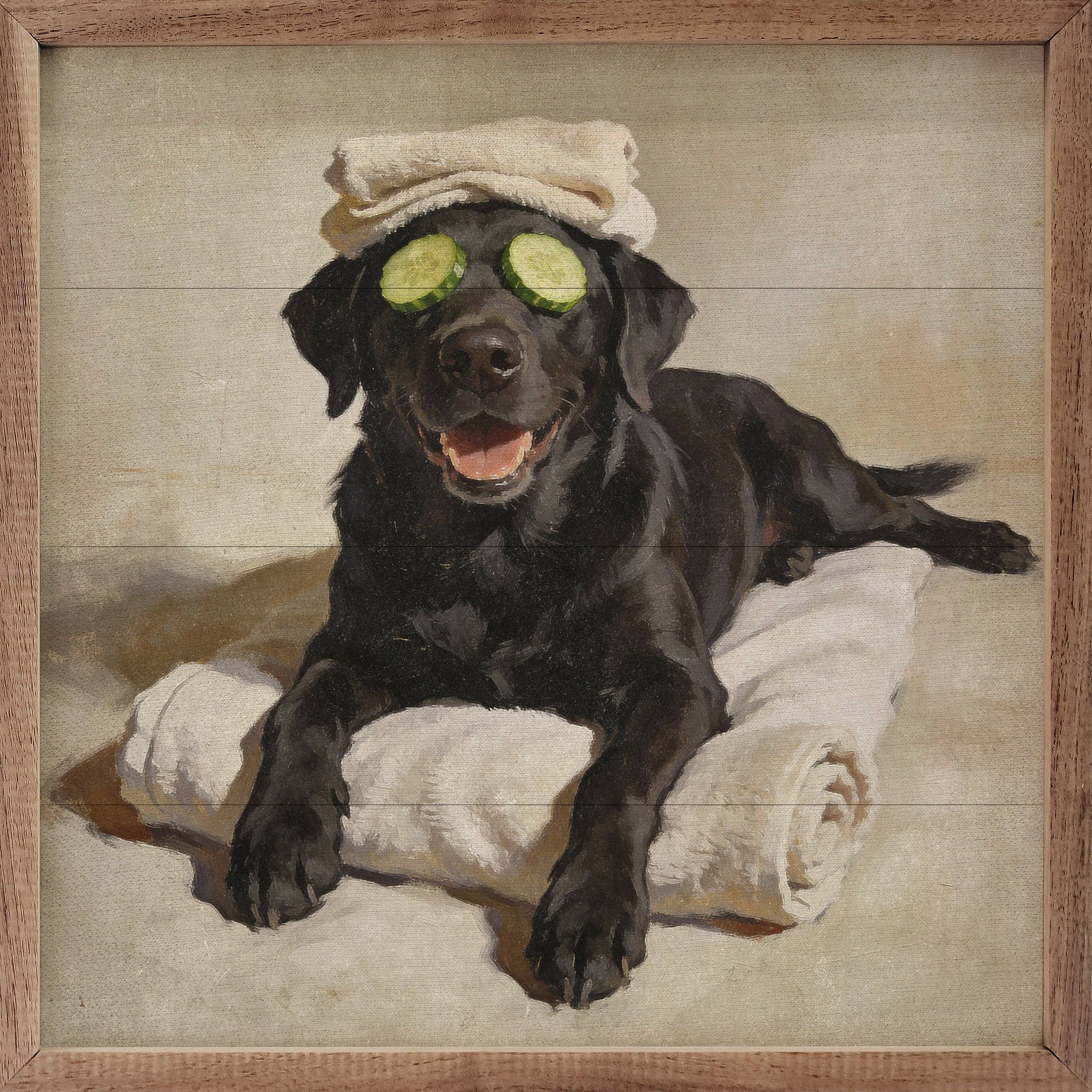 Bath Time Black Labrador