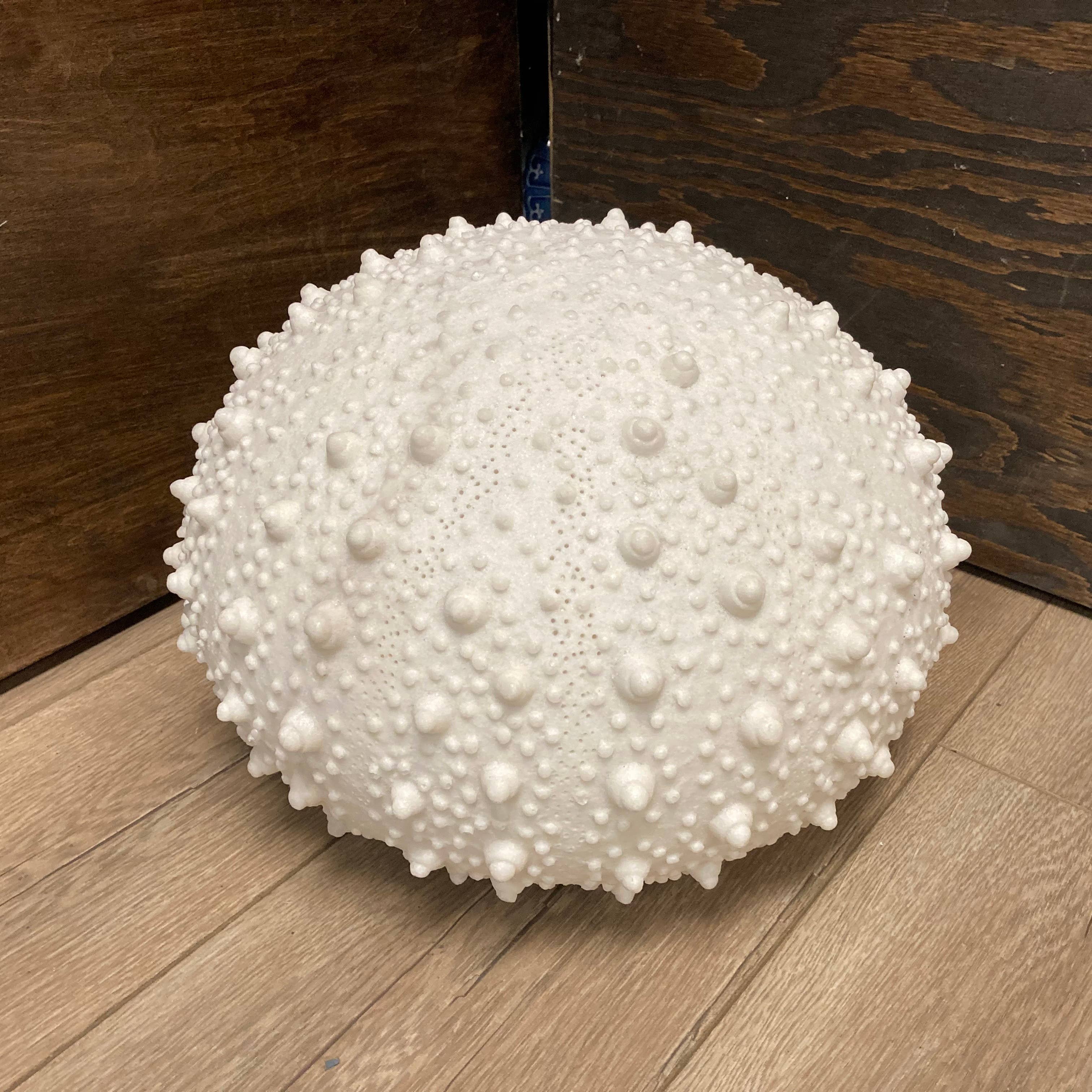 Sandstone Urchin Lamp Indoor: Small