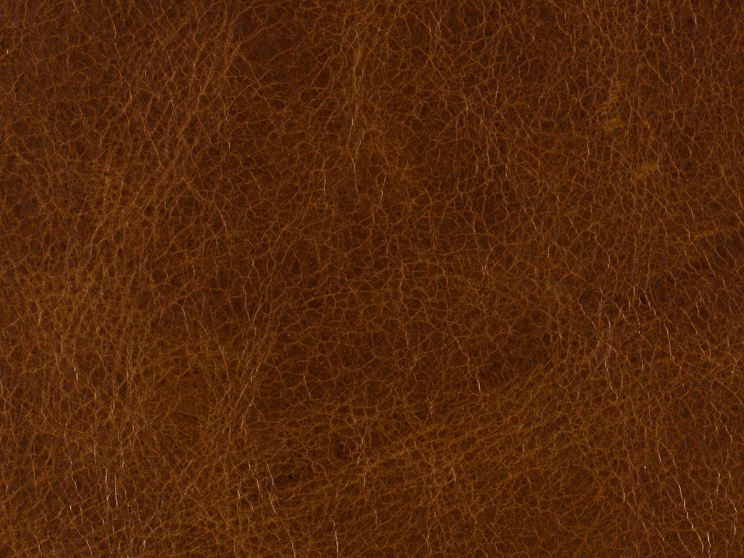 RC - Shasta Recliner