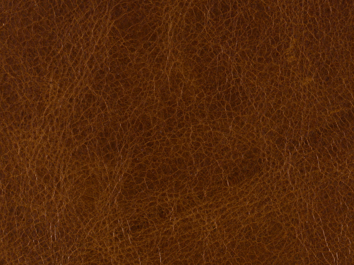 RC - Shasta Recliner