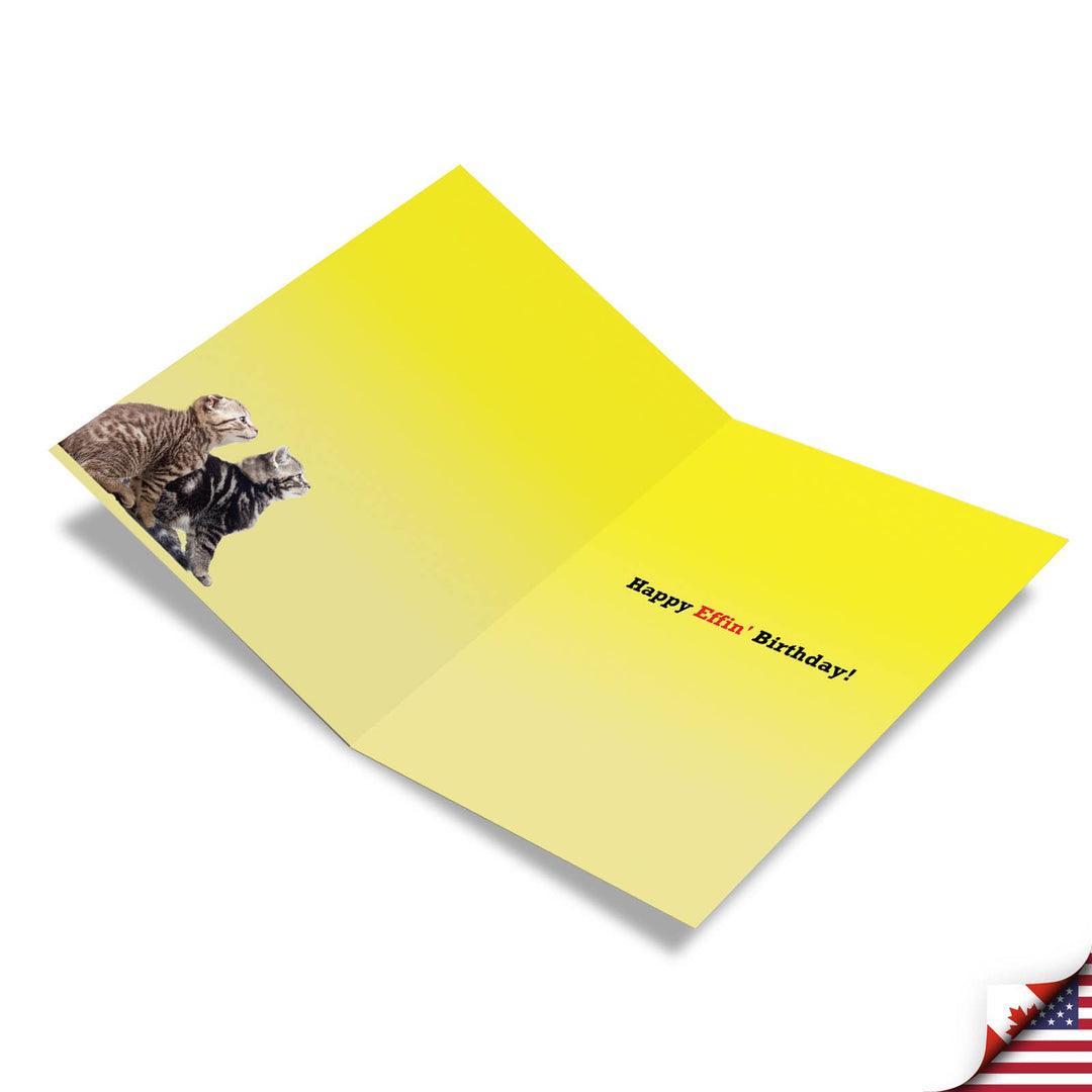 Birthday Card - Any Resemblance
