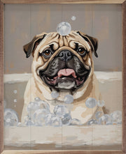 Pug In A Tub