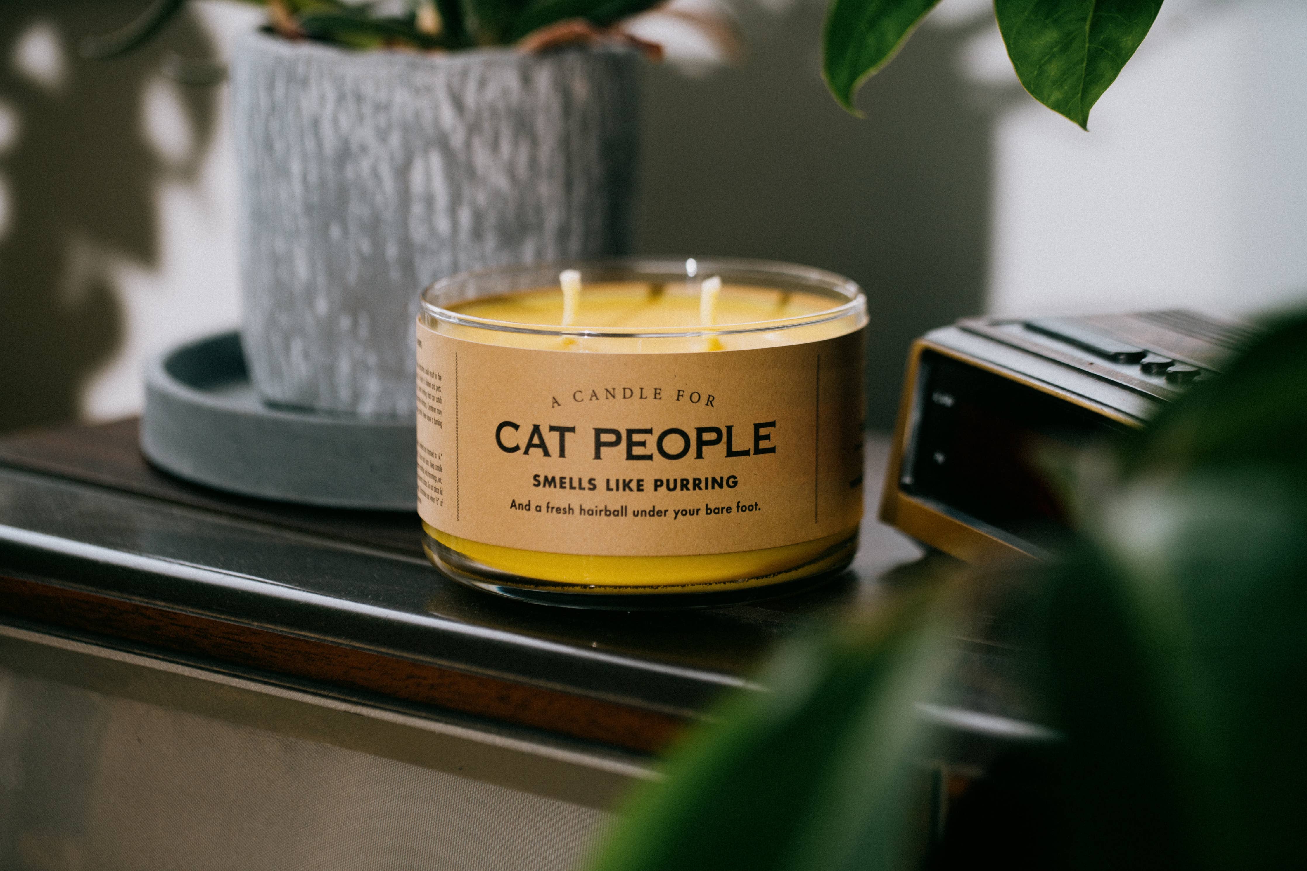 A Candle for Cat People | Funny Candle