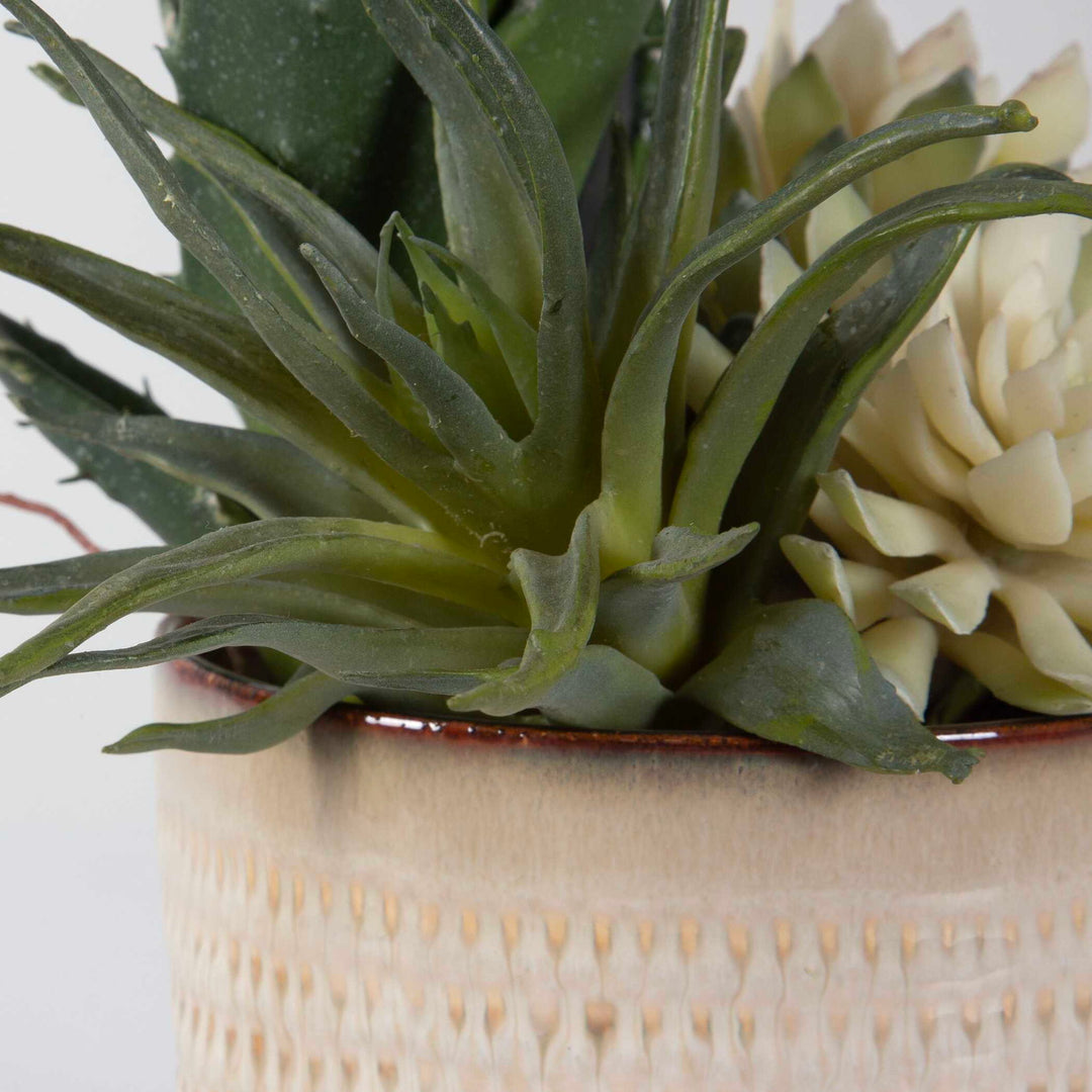 Seaside Succulents (Set of 2) - Pearl Silver