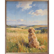 Sunny Day Goldendoodle