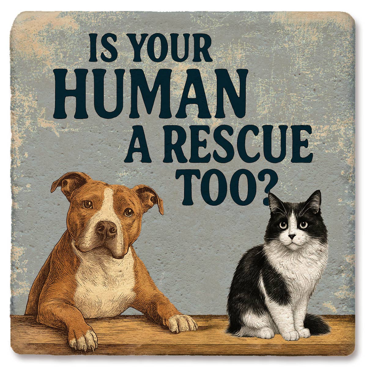 Coaster Pets Rescue: Limestone