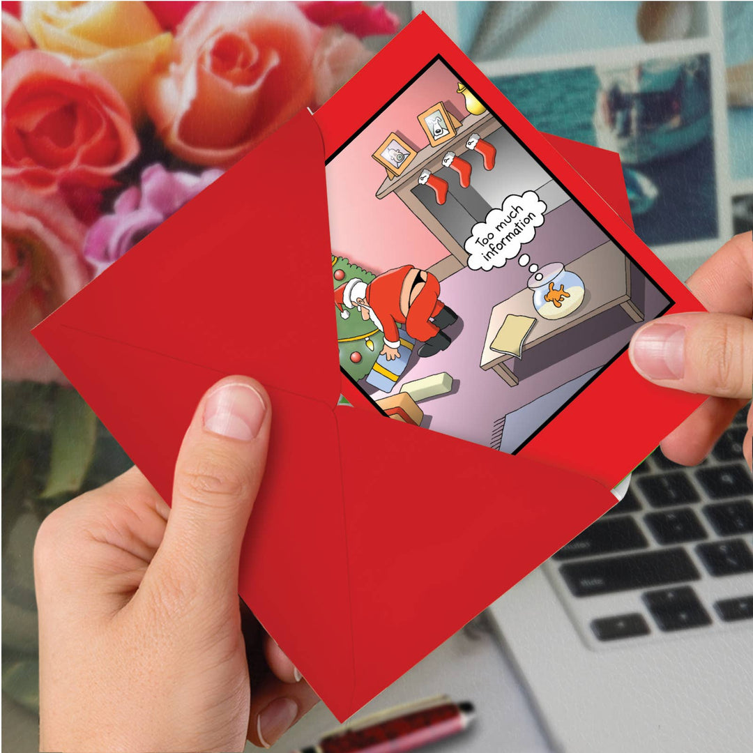 Single Christmas Card - Too Much Info Fish Christmas