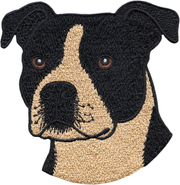 Patch - Dog - Black And Tan Pitbull
