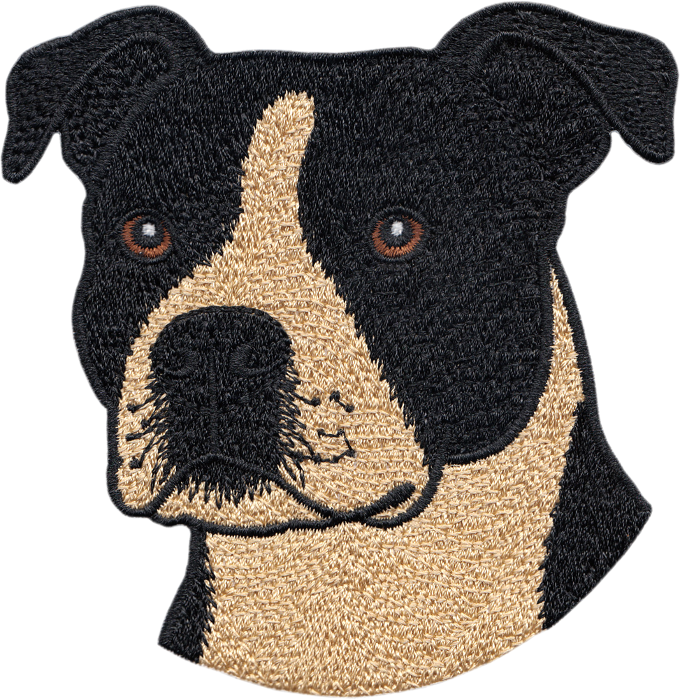 Patch - Dog - Black And Tan Pitbull