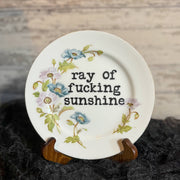 Ray of Sunshine #174 Funny Plates, Trending, Gift Shop