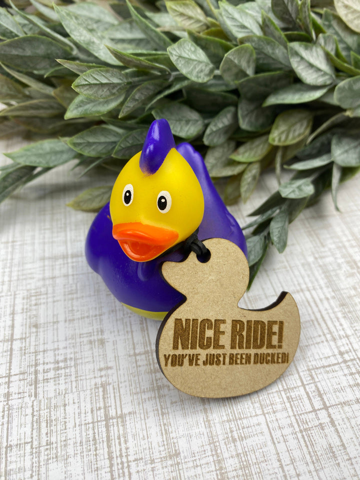 You've Just Been Ducked!