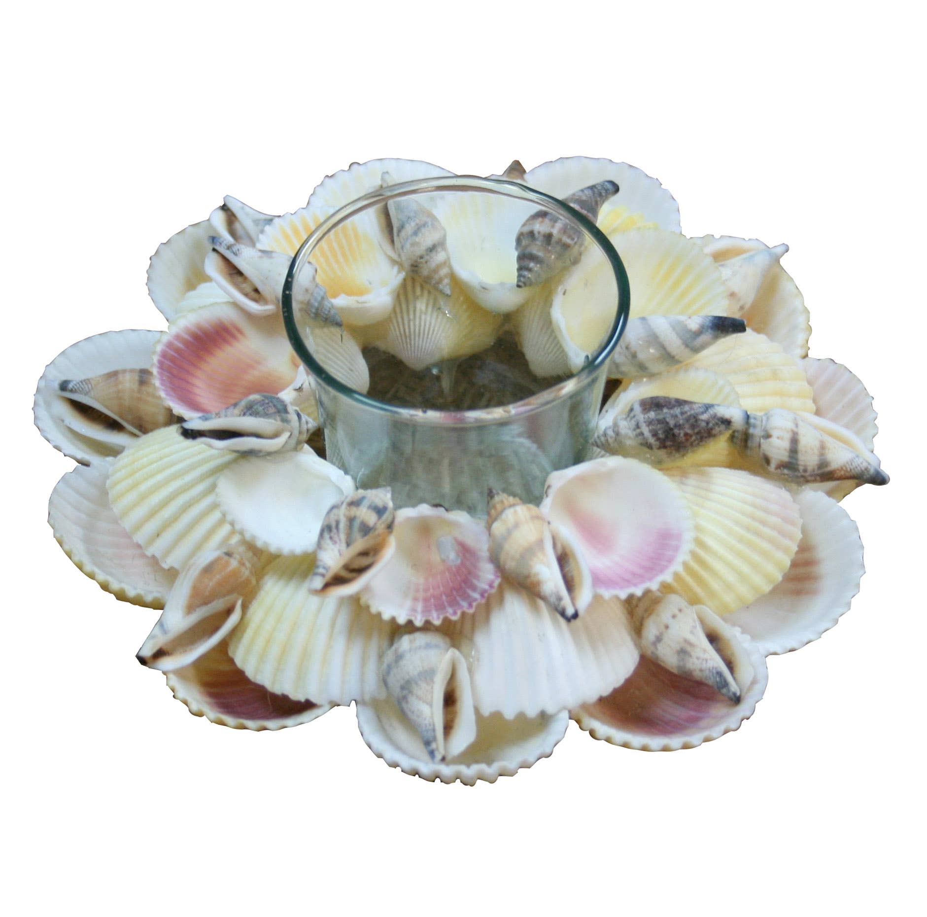 Natural Cockles Shell Glass Tealight Holder