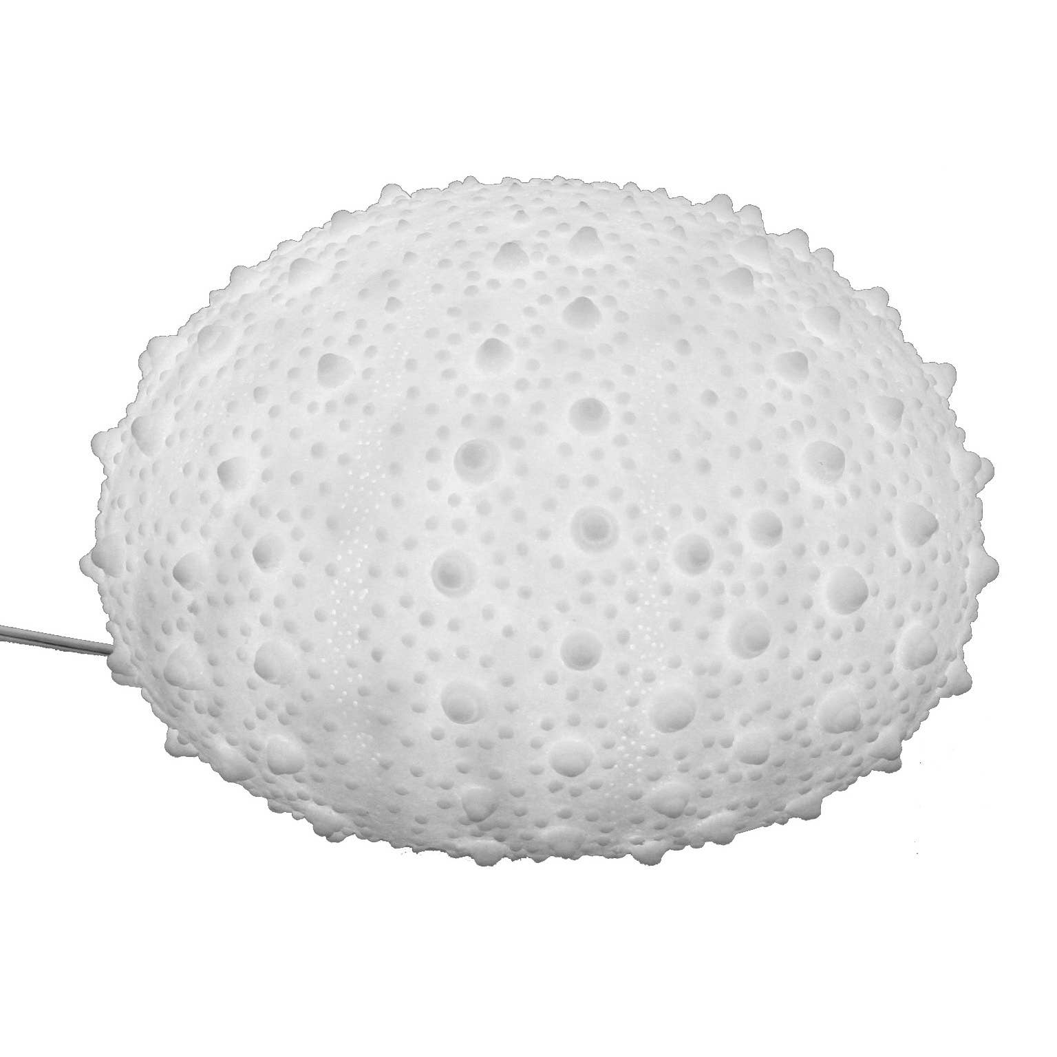 Sandstone Urchin Lamp Indoor: Small