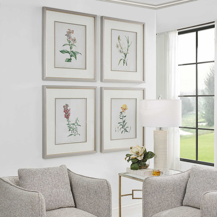 Heirloom Blooms - Study Framed Prints (Set of 4) - Green