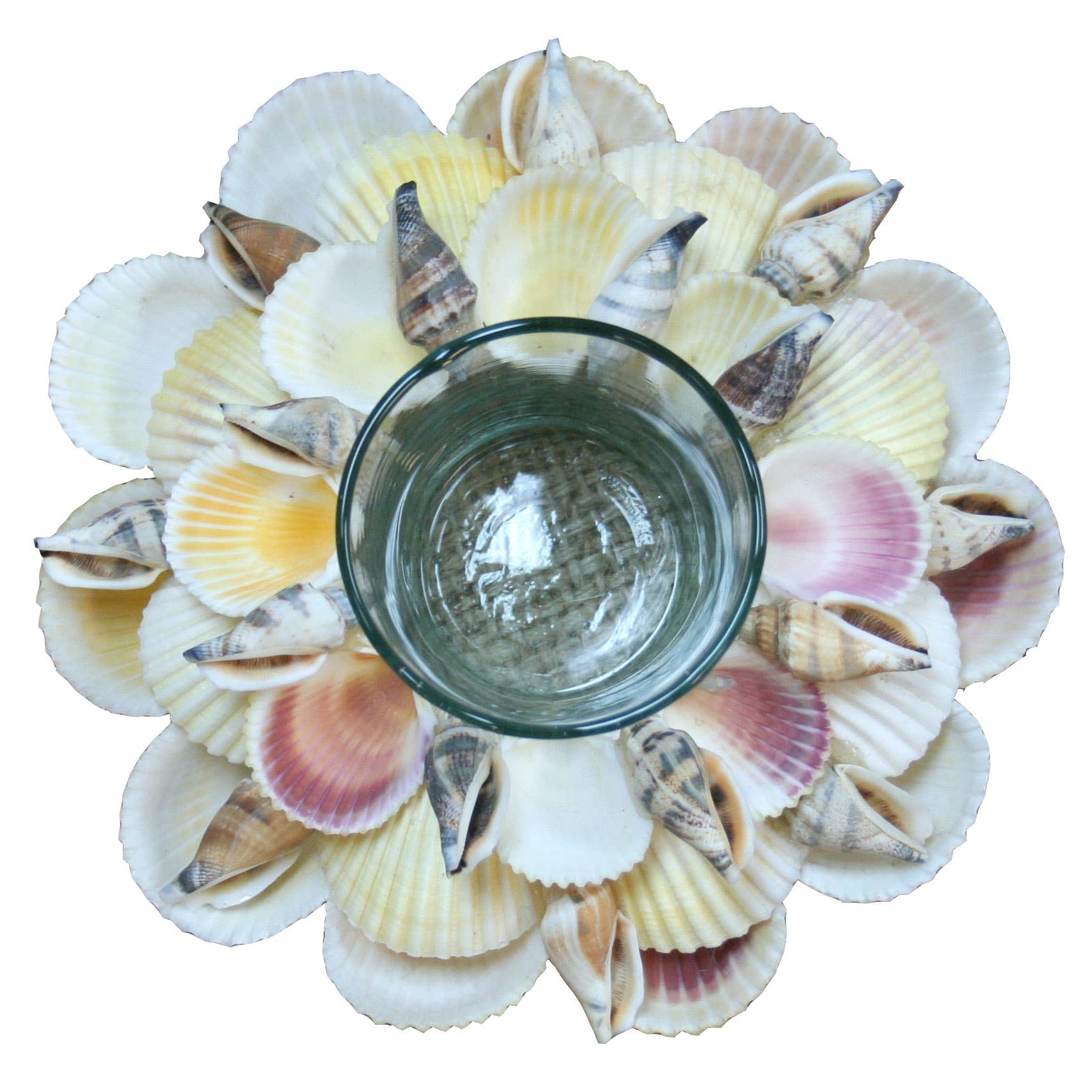 Natural Cockles Shell Glass Tealight Holder