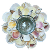 Natural Cockles Shell Glass Tealight Holder
