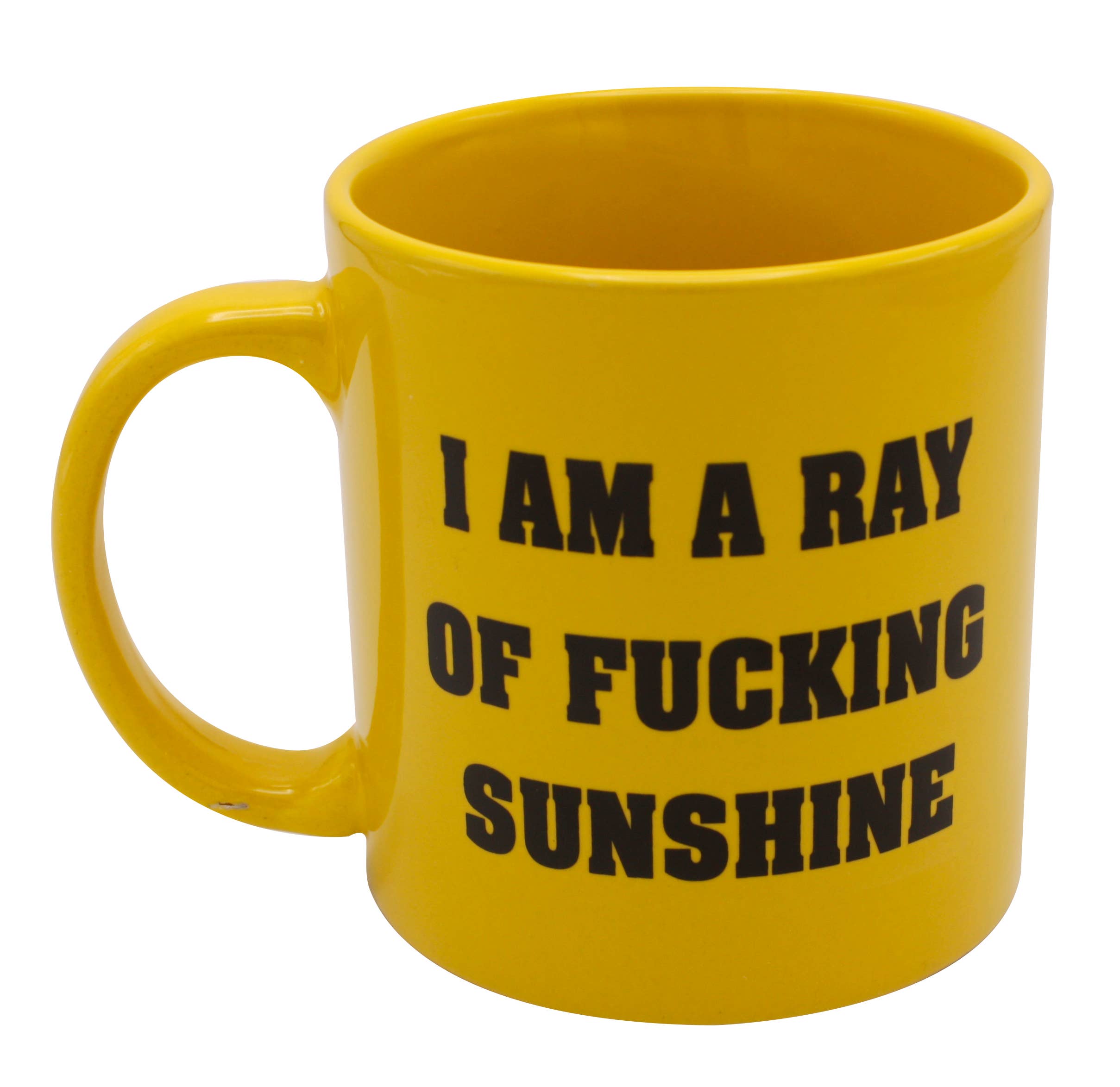 Giant Ray Of Fucking Sunshine Mug