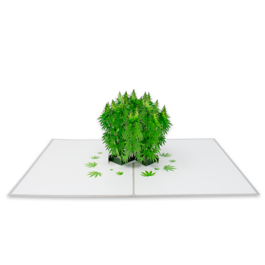 “Pot Plant” - 3D Drugs-Themed Card