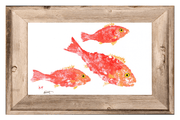 School of Coral Snapper Print: 4" X 6" With Frame