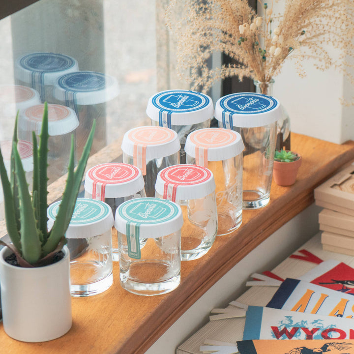 Seahorse Glasses: Stemless Wine ~ 15 oz