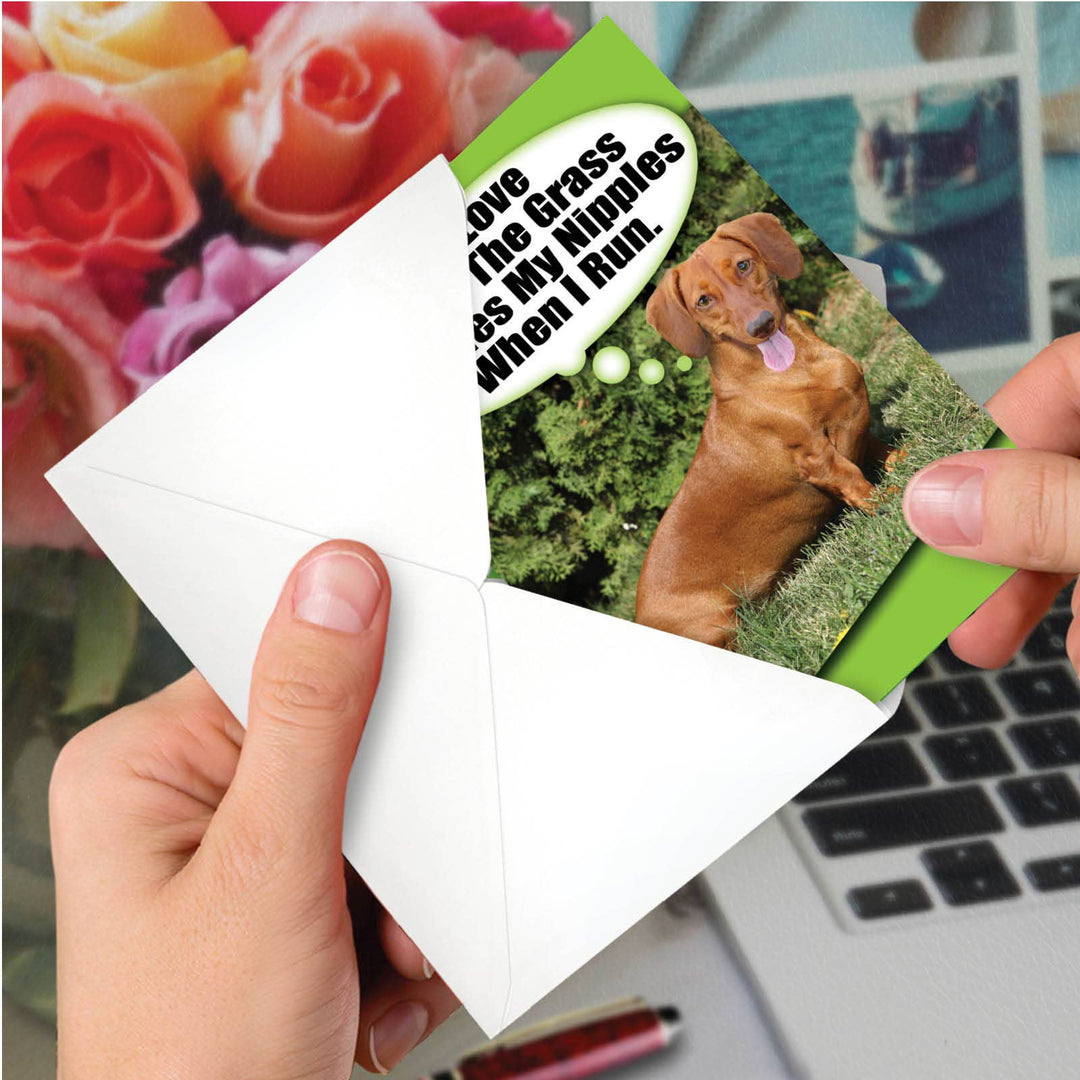 Birthday Card - Tickle My Nipples