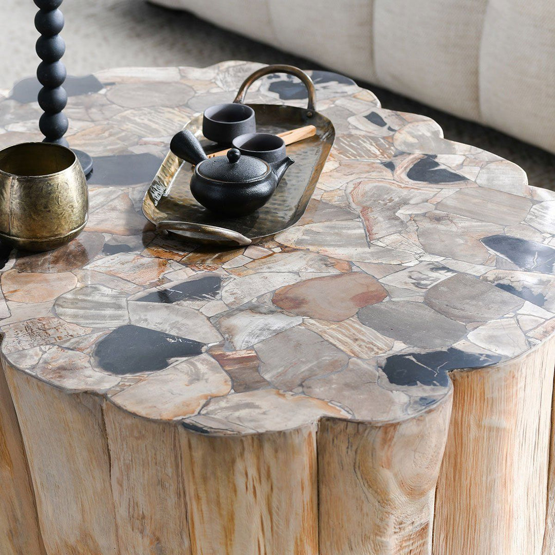 Norwest - Petrified Wood Coffee Table - Natural