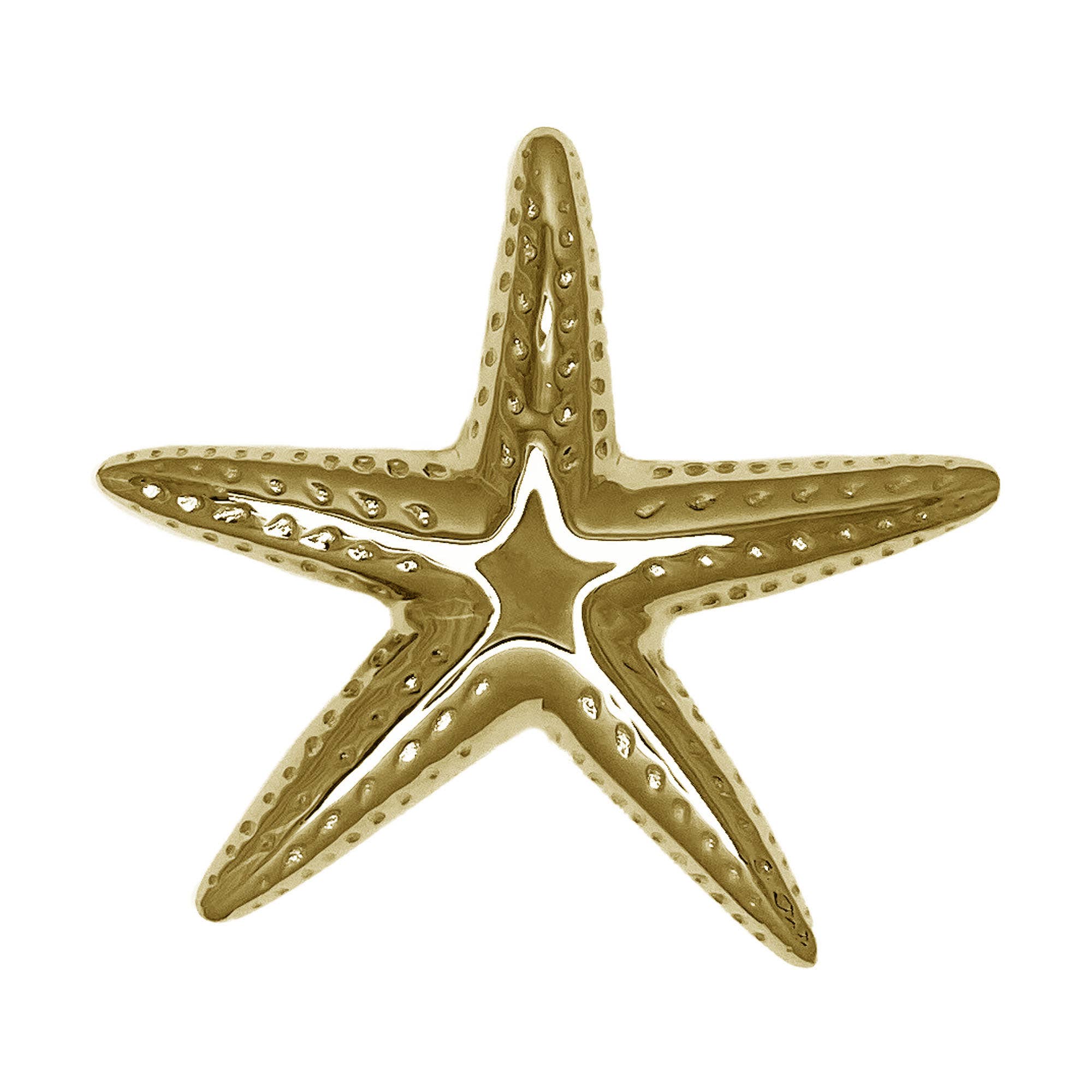 Starfish Door Knocker