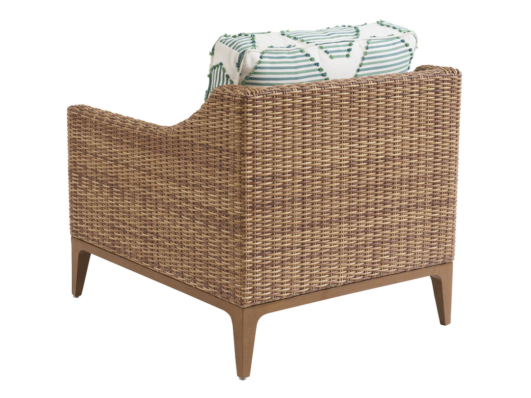 Palm Desert Poolside - Lounge Chair - Dark Brown / Light Blue