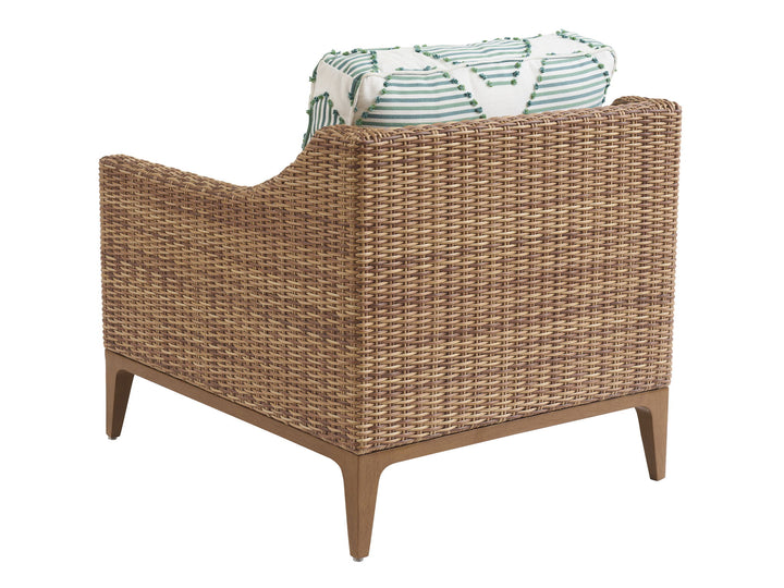 Palm Desert Poolside - Lounge Chair - Dark Brown / Light Blue