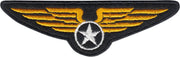 Patch - Wings Crest - Military Air Force Aviation Retro